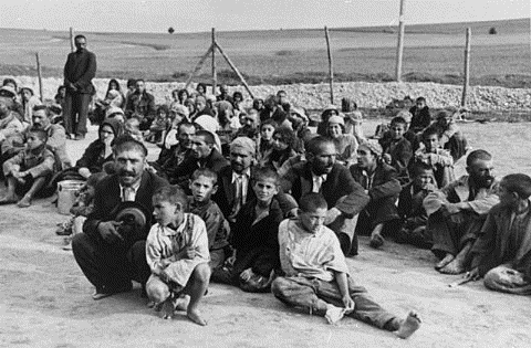 roma-in-holocaust