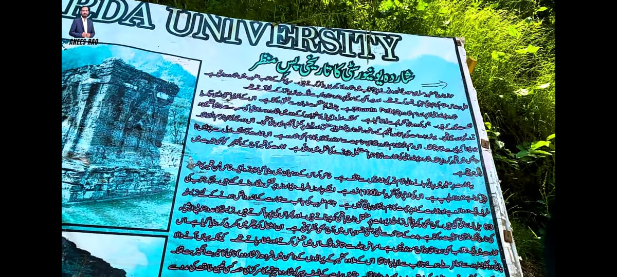 Sharda University- 1