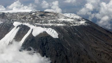 Photo of Iconic World Heritage glaciers to disappear by 2050, warns UNESCO