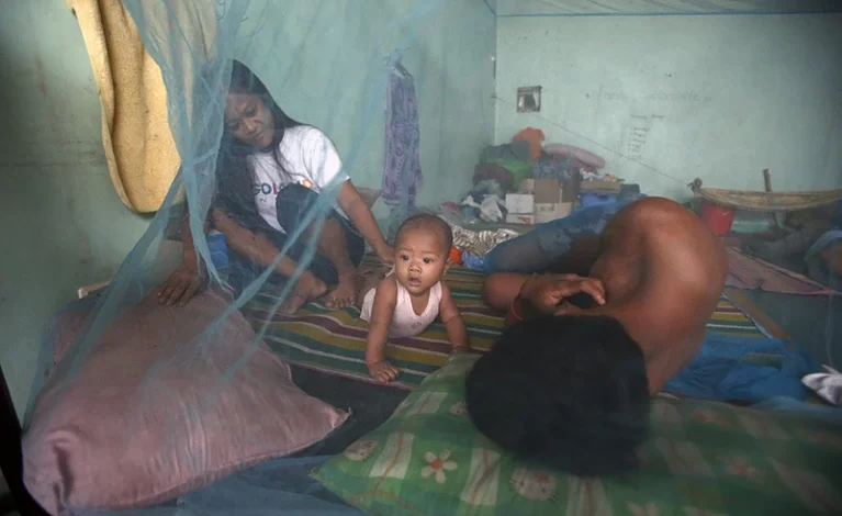 Mosquito nets are currently one of the main ways to prevent the spread of dengue