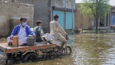 Photo of Over 540,000 malaria cases reported in flood-hit Pakistan – WHO