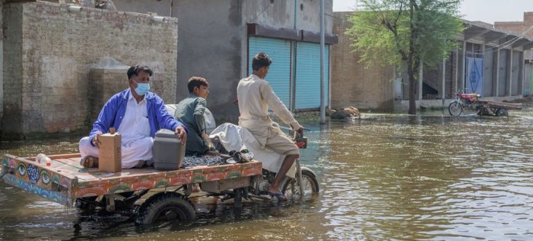 Over 540,000 malaria cases reported in flood-hit Pakistan – WHO