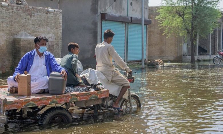 Photo of Over 540,000 malaria cases reported in flood-hit Pakistan – WHO