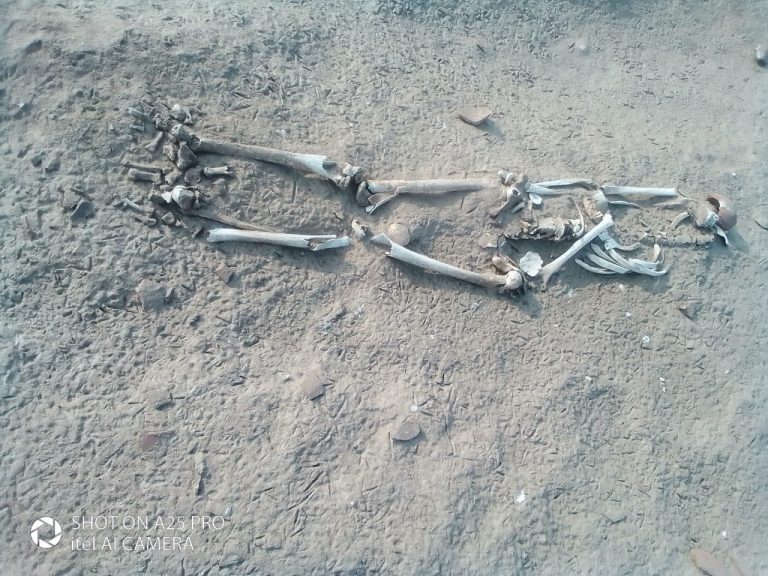Dadu- Skeleton-Sindh Courier