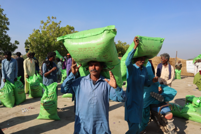 NGO distributes agricultural input among flood-hit farmers of Sujawal