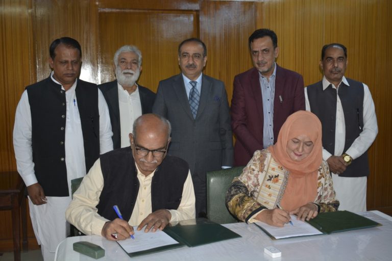 Wheat Seed: Sindh Agriculture University sets up Experimental Field