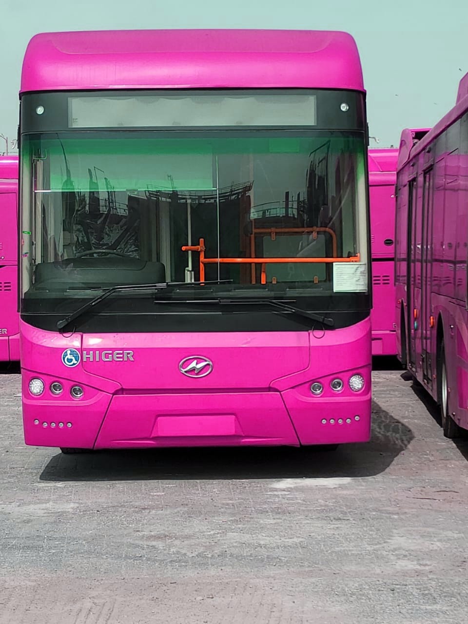 Pink Bus Service-Karachi- Sindh Courier-1