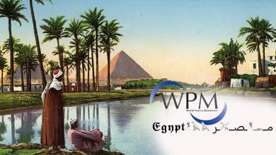 WPC-Egypt=Sindh Courier