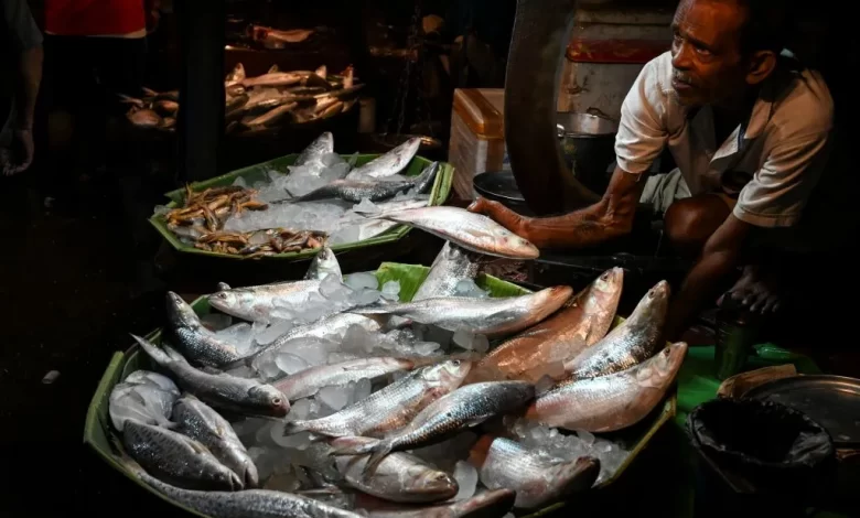 Hilsa-GettyImages-1235460918