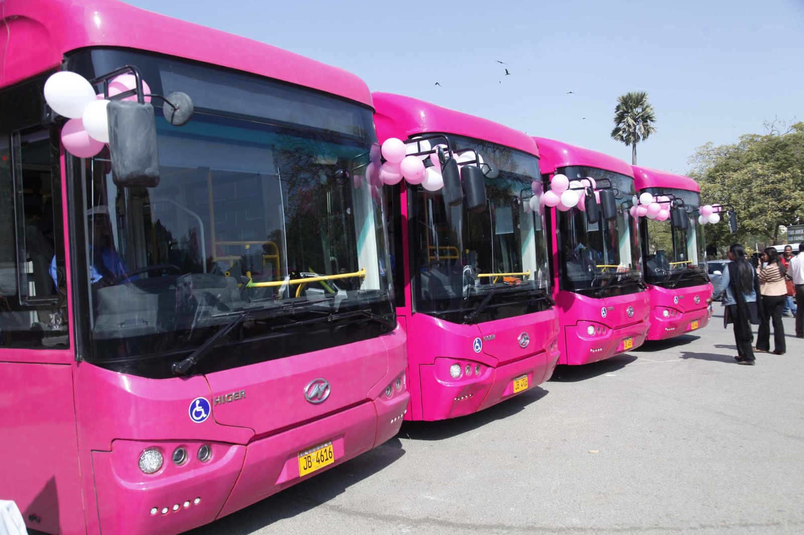 Pink-Bus-Service-Sindh Courier-5