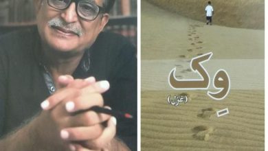 Photo of ‘Vikh’ – A Step, the new poetry book in two Sindhi scripts