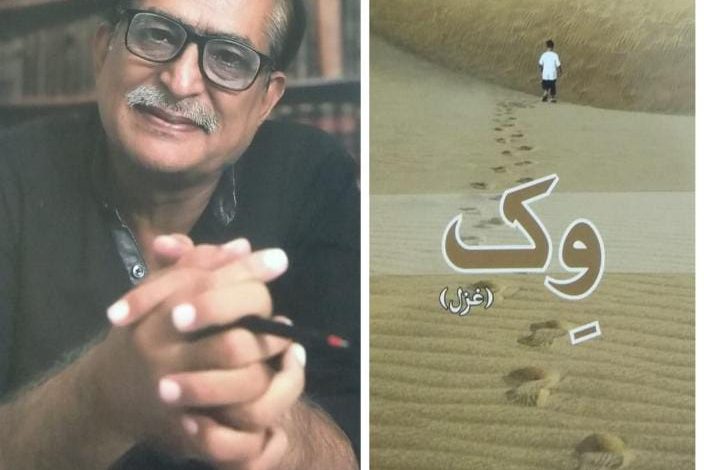 Photo of ‘Vikh’ – A Step, the new poetry book in two Sindhi scripts