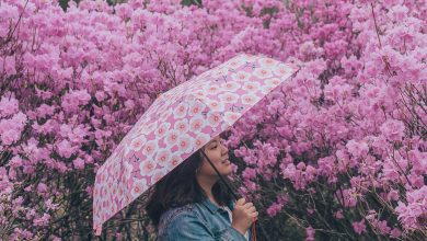 Korea-spring-weather