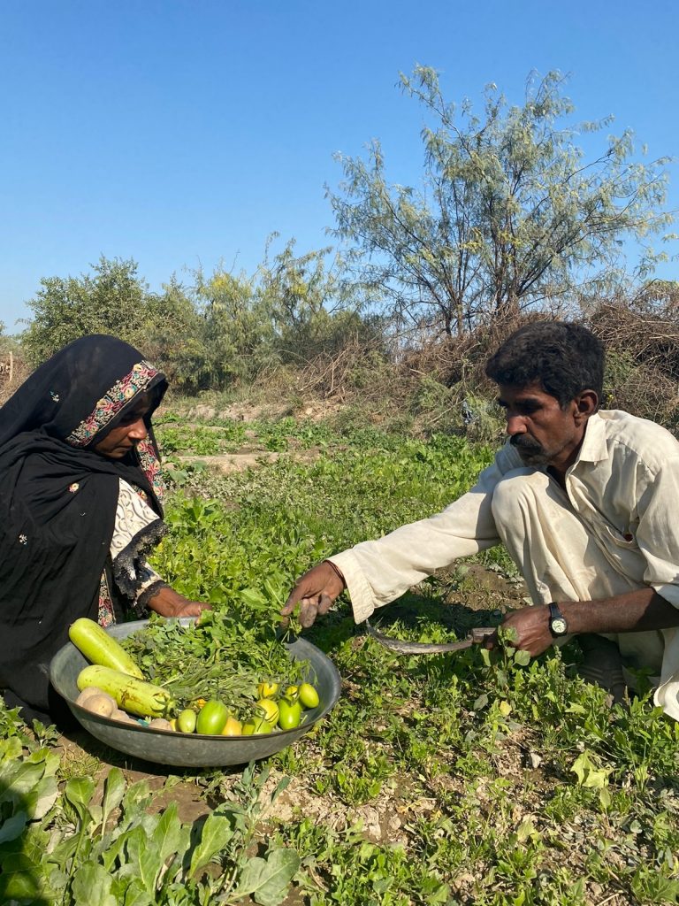 Sindh-Small-Farmers- Sindh Courier