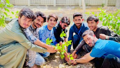 Photo of Plantation Day organized at Sindh University
