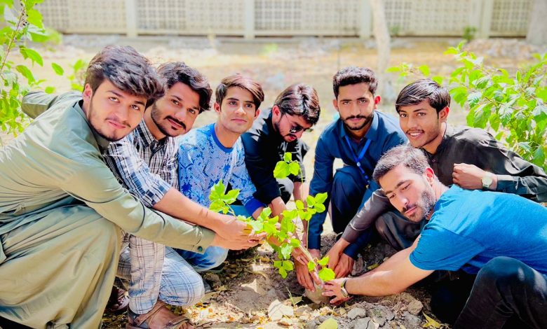 Sindh-University-Plantation-Day-Sindh-Courier