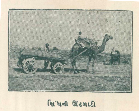 Camel-Cart-Sindh