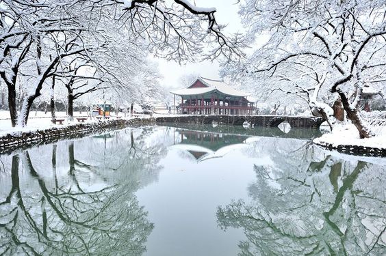 Korea-Winter-Pond Pinterest