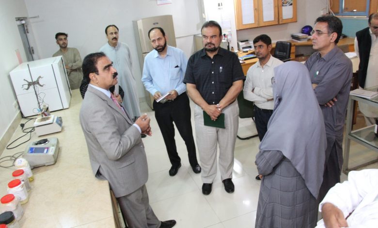 SFA-DG-Sindh-Courier
