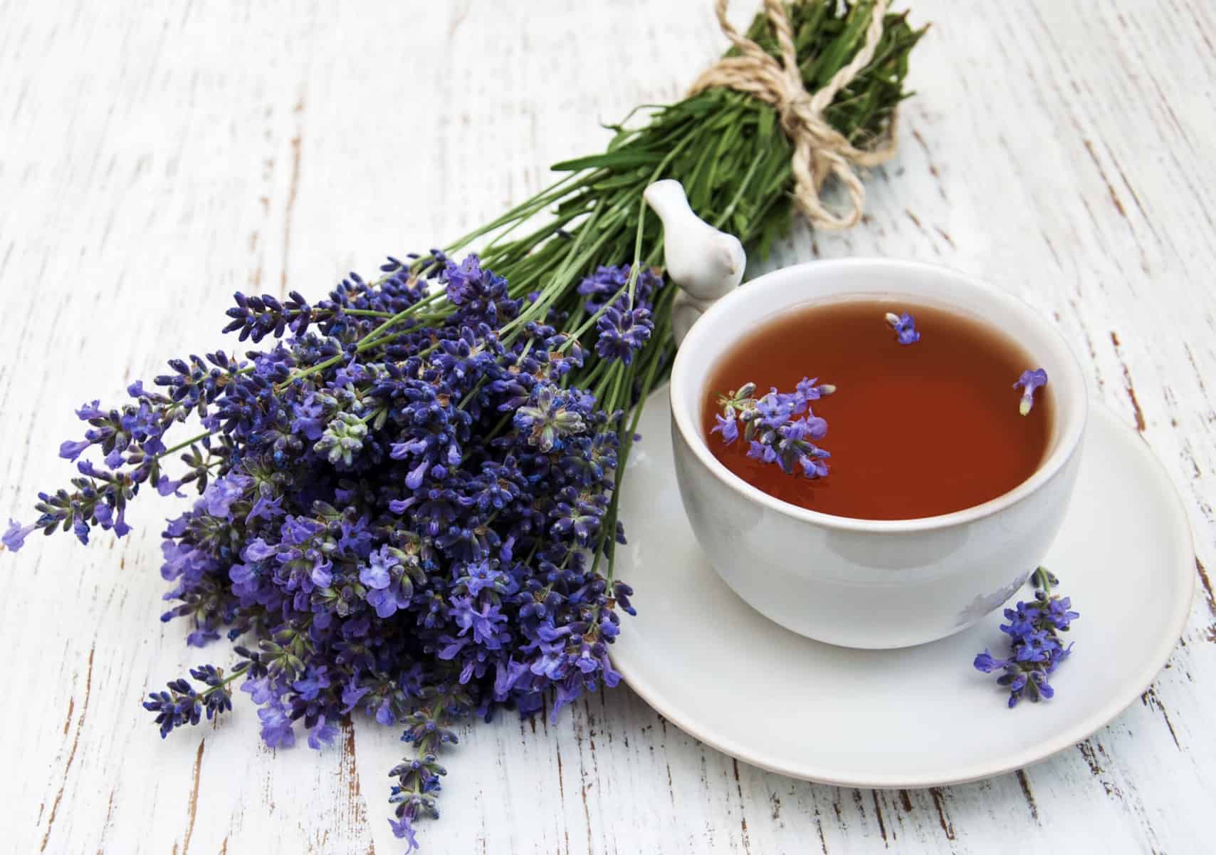 lavender-tea