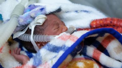 Photo of ‘Silent emergency’: Premature births claim a million lives yearly
