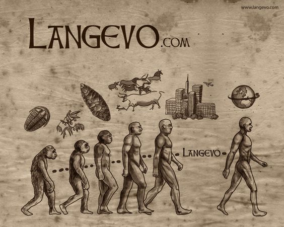 Language Evolution Pinterest 1