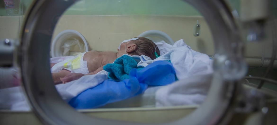 Premature Baby- Iraq