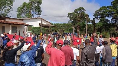 Photo of Brazilian Landless Workers Occupy Farms