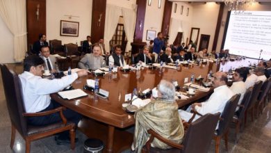 Photo of Sindh to launch Yellow Line buses, Oil Palm Nursery, and Rani Bagh projects