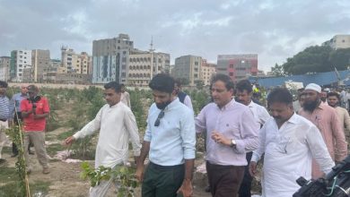 Photo of Lyari River Urban Forest Inaugurated