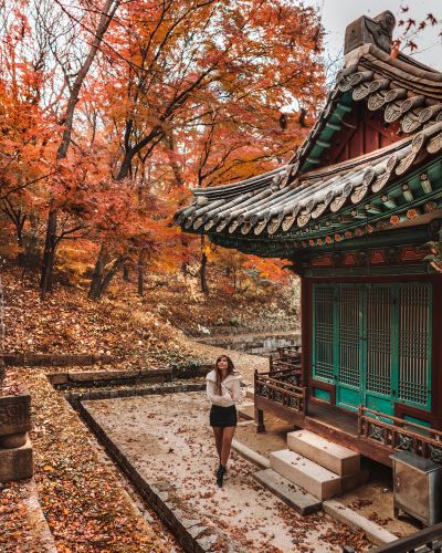 Away-Lands-Travel-Guide-Fall-Leaves-Seoul-Korea-Instagrammable-22