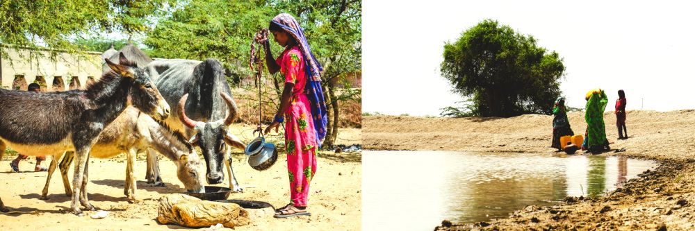WATER FOR ALL - HUMANS AS WELL AS ANIMALS - PVDP'S POVERTY REDUCTION MODEL