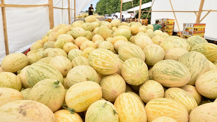 Uzbekistan exports 80,000 tons of watermelons