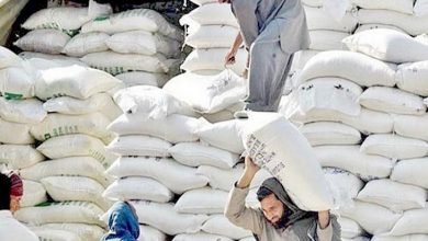 Photo of Pakistan’s NLC to transport flour to Afghanistan from Kazakhstan
