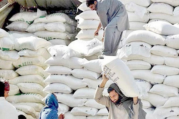 Pakistan’s NLC to transport flour to Afghanistan from Kazakhstan