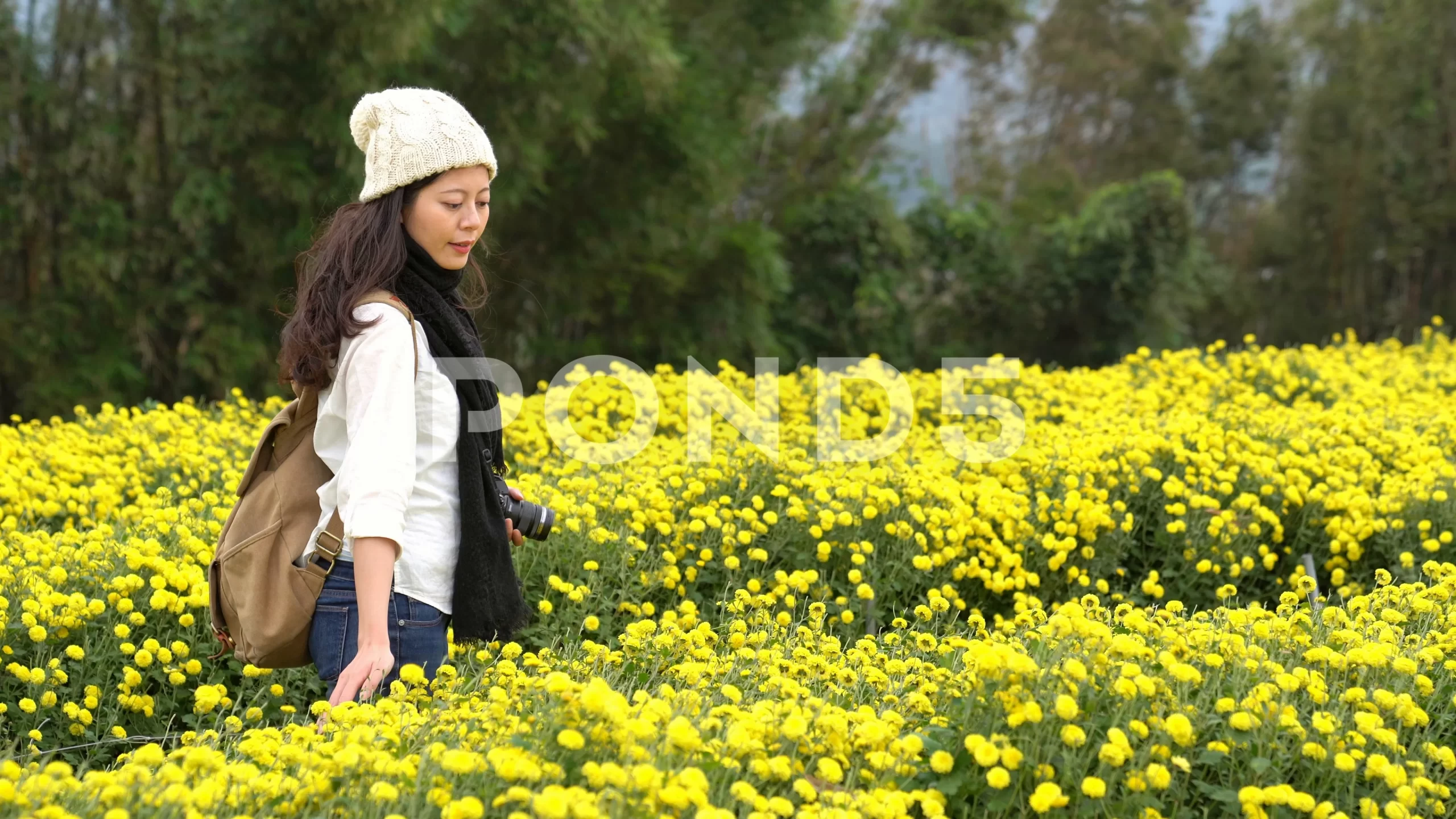 woman-walking-chrysanthemum-garden-083547062_prevstill