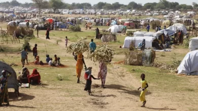 230713-sudan-chad-mn-1045-bbf093