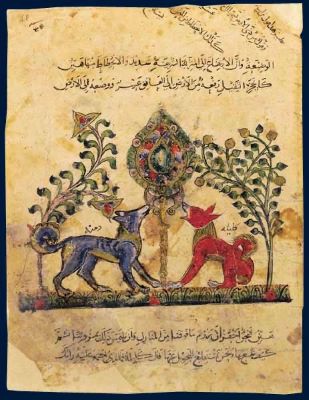 Arabic Literature - Animals