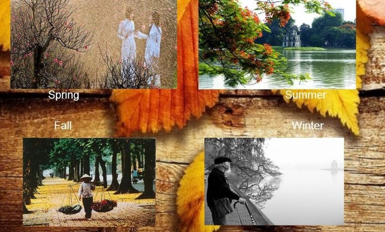 Spring+Summer+Fall+Winter