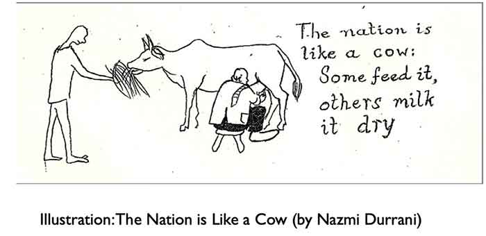 nation-like-a-cow
