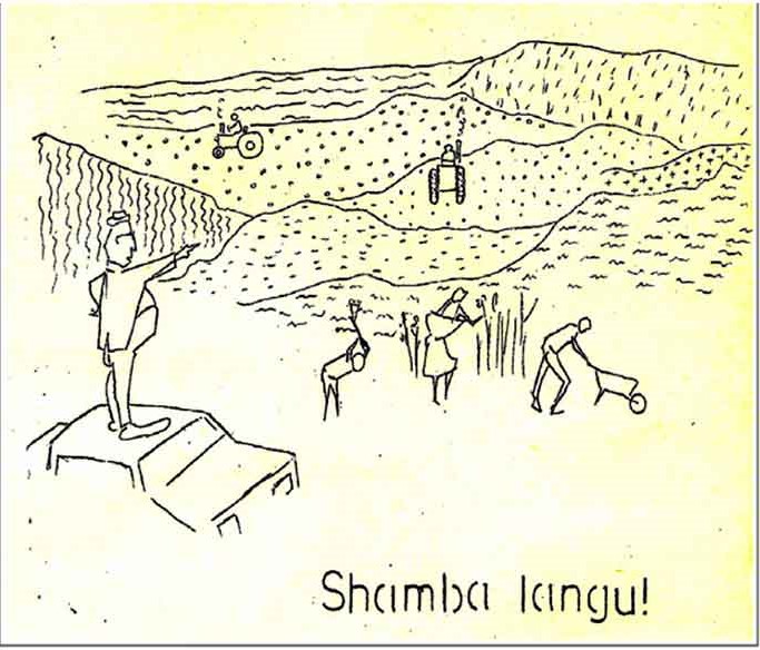shamba-langu