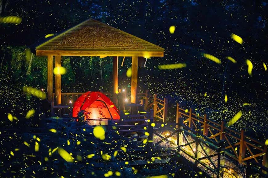 萤火虫文创农场