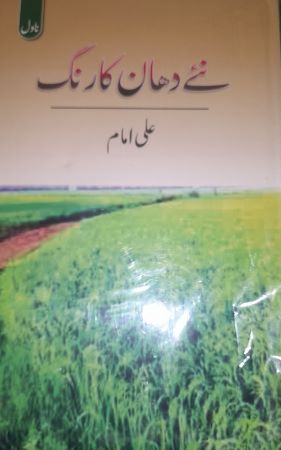 Ali Imam - Novel