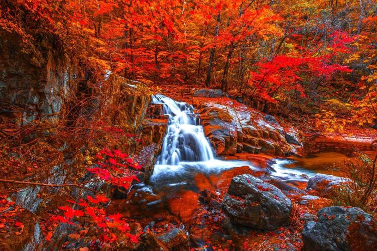 Lukewarm Waterfall – A Poem from Korea