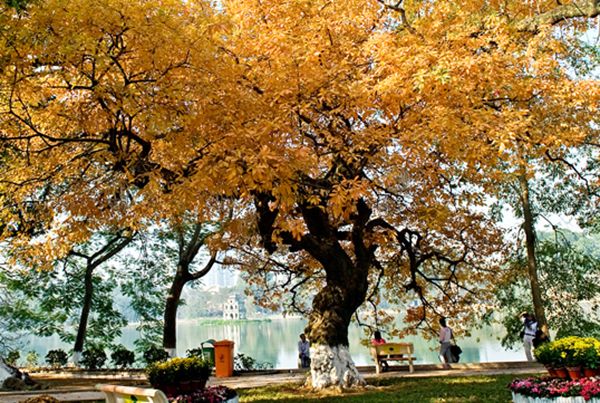 Autumn in Hanoi – Poetry from Vietnam