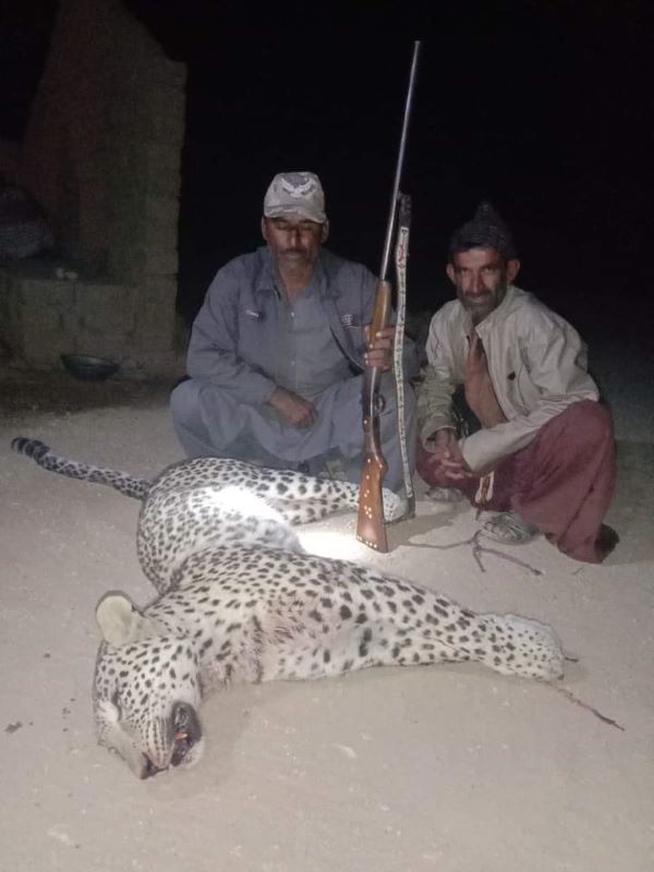 Accused villagers with leopard killed by them - Sindh Courier