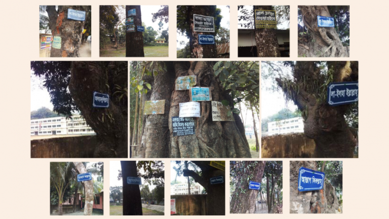 Bangladesh-Trees