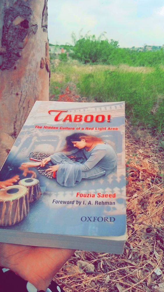 Taboo-novel