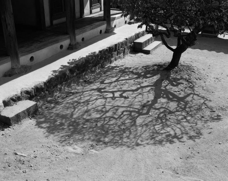 Koreas-shadows-Byeongsanseowon-architectural-review-01-1389x1100