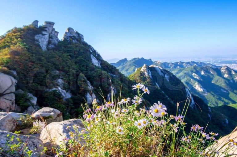The Road to Flower Mountain – A Poem from Korea